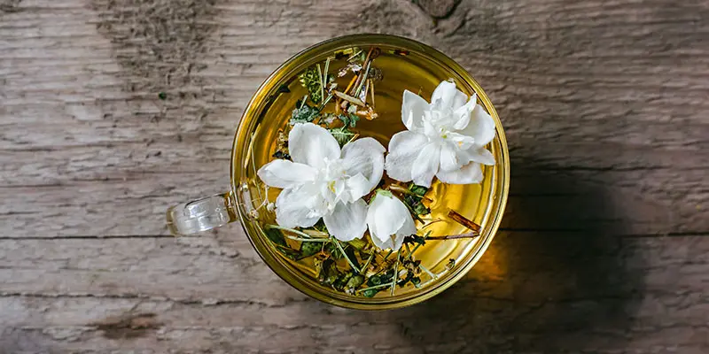 Thé au jasmin aux multiples propriétés bien-être et santé